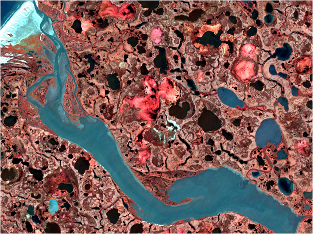 Снимок ASTER/VNIR. Ненецкий АО. Синтезированное цветное изображение в комбинации NIR, R, G с пространственным разрешением 15 м